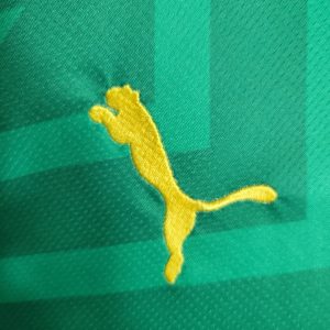 2023/2024 Manchester City Goalkeeper Green Football Shirt 1:1 Thai Quality
