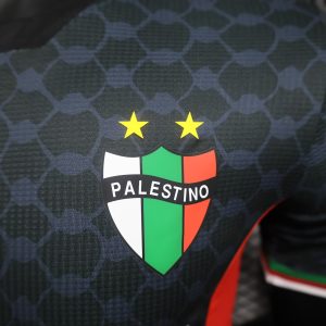 2024/2025 Player Version Palestine Away Football Shirt 1:1 Thai Quality