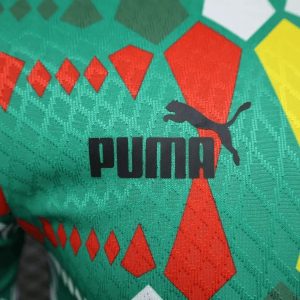 2023/2024 Player Version Senegal National Team Home  Shirt