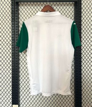 2025/2026 Palmeiras Away Football Shirt 1:1 Thai Quality