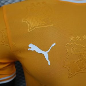 2024 Player Version Côte d’Ivoire Special Edition Orange Football Shirt 1:1 Thai Quality