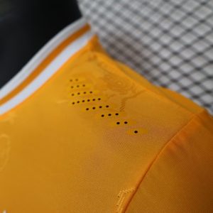 2024 Player Version Côte d’Ivoire Special Edition Orange Football Shirt 1:1 Thai Quality