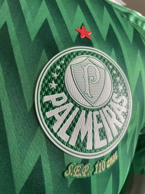 2024/2025 Player Version Palmeiras Special Edition Jersey 1:1 Thai Quality