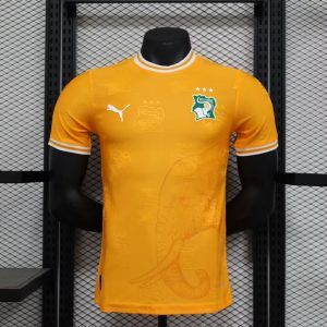 2024 Player Version Côte d’Ivoire Special Edition Orange Football Shirt 1:1 Thai Quality