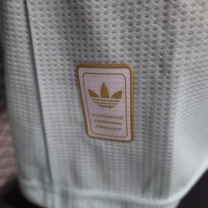 2025/2026 Player Version Celtic Special Edition Football Shirt 1:1 Thai Quality