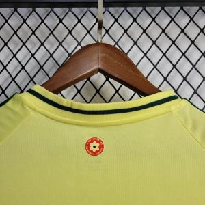 2024 Wales Away Football Shirt 1:1 Thai Quality