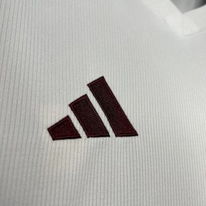 2024/2025 Aston Villa Away Football Shirt 1:1 Thai Quality