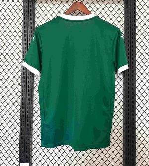 2025/2026 Palmeiras Home Football Shirt 1:1 Thai Quality