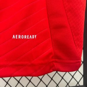2024/2025 Benfica Home Football Shirt