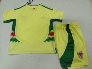 2024 Kids Size Wales Away Football Shirt 1:1 Thai Quality