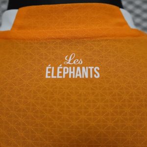 2022 Player Version Côte d’Ivoire National Team Home Shirt