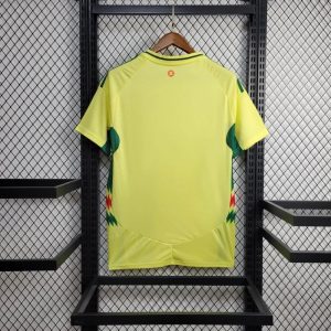 2024 Wales Away Football Shirt 1:1 Thai Quality