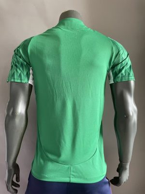 2024/2025 Player Version Palmeiras Special Edition Jersey 1:1 Thai Quality