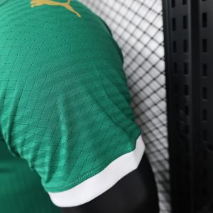 2024/2025 Player Version Palmeiras Home Jersey 1:1 Thai Quality