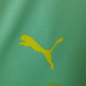 2022/2023 Palmeiras Third Away Jersey 1:1 Thai Quality