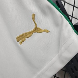 2024/2025 Palmeiras Away Shorts 1:1 Thai Quality