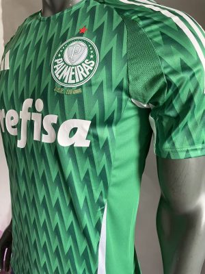 2024/2025 Player Version Palmeiras Special Edition Jersey 1:1 Thai Quality