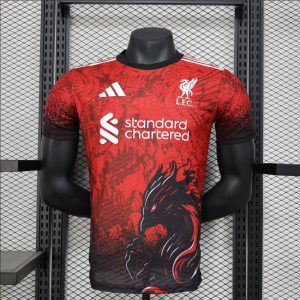 2024/2025 Player Version Liverpool Special Edition Red Football Shirt 1:1 Thai Quality