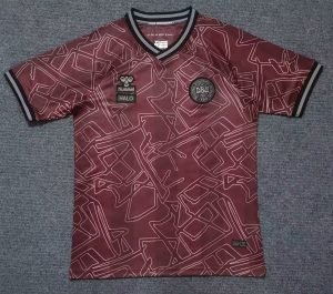 2024 Denmark National Team Special Edition Football Shirt 1:1 Thai Quality