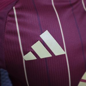 2024/2025 Player Version Roma Home Football Shirt 1:1 Thai Quality
