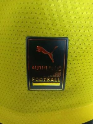 2024/2025 Player Version Dortmund Cup Football Shirt 1:1 Thai Quality