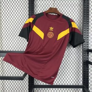 2024/2025 Roma Special Edition Soccer Jersey 1:1 Thai Quality