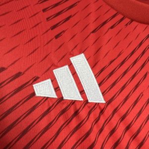 2024/2025 Nottingham Forest Home Football Shirt 1:1 Thai Quality