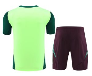 2024 Mexico Pre-match Training Green Shirt+Shorts 1:1 Thai Quality