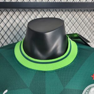 2023/2024 Player Version Palmeiras Home Jersey 1:1 Thai Quality