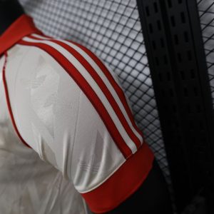 2024/2025 Player Version Bayern Munich Special Edition Football Jersey 1:1 Thai Quality