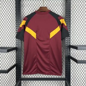 2024/2025 Roma Special Edition Soccer Jersey 1:1 Thai Quality