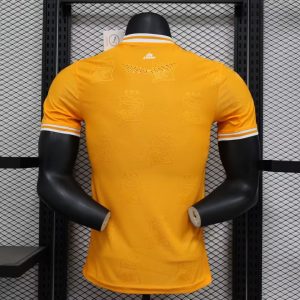 2024 Player Version Côte d’Ivoire Special Edition Orange Football Shirt 1:1 Thai Quality