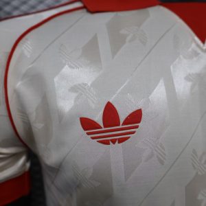 2024/2025 Player Version Bayern Munich Special Edition Football Jersey 1:1 Thai Quality