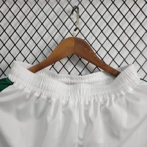 2024/2025 Palmeiras Away Shorts 1:1 Thai Quality