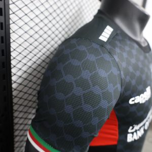 2024/2025 Player Version Palestine Away Football Shirt 1:1 Thai Quality