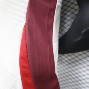 2024/2025 Player Version Bayern Munich Special Edition Football Jersey 1:1 Thai Quality