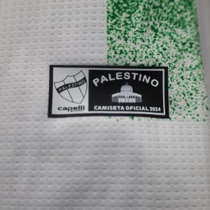 2024/2025 Player Version Palestine Home Football Shirt 1:1 Thai Quality
