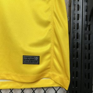 2024 América Home Football Shirt 1:1 Thai Quality