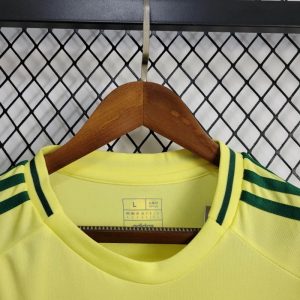 2024 Wales Away Football Shirt 1:1 Thai Quality