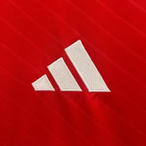 2024/2025 Benfica Home Football Shirt