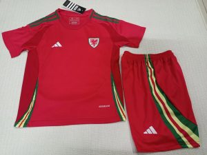 2024 Kids Size Wales Home Football Shirt 1:1 Thai Quality
