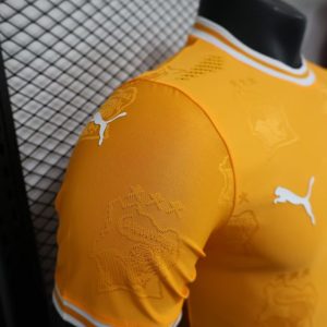 2024 Player Version Côte d’Ivoire Special Edition Orange Football Shirt 1:1 Thai Quality