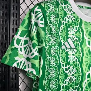 2024/2025 Celtic pre-match training Football Shirt 1:1 Thai Quality