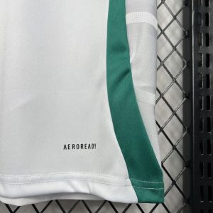 2024/2025 Newcastle United Third Away Soccer Jersey 1:1 Thai Quality