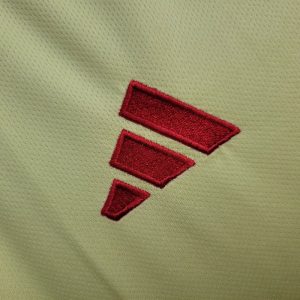 2024 Wales Away Football Shirt 1:1 Thai Quality