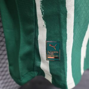 2025/2026 Player Version Palmeiras Home Football Shirt 1:1 Thai Quality