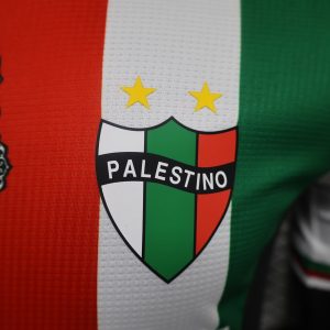 2024/2025 Player Version Palestine Home Football Shirt 1:1 Thai Quality