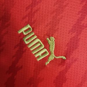 2023/2024 Morocco National Team Home Shirt