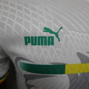 2023/2024 Player Version Senegal National Team Away Shirt