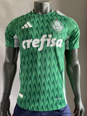 2024/2025 Player Version Palmeiras Special Edition Jersey 1:1 Thai Quality